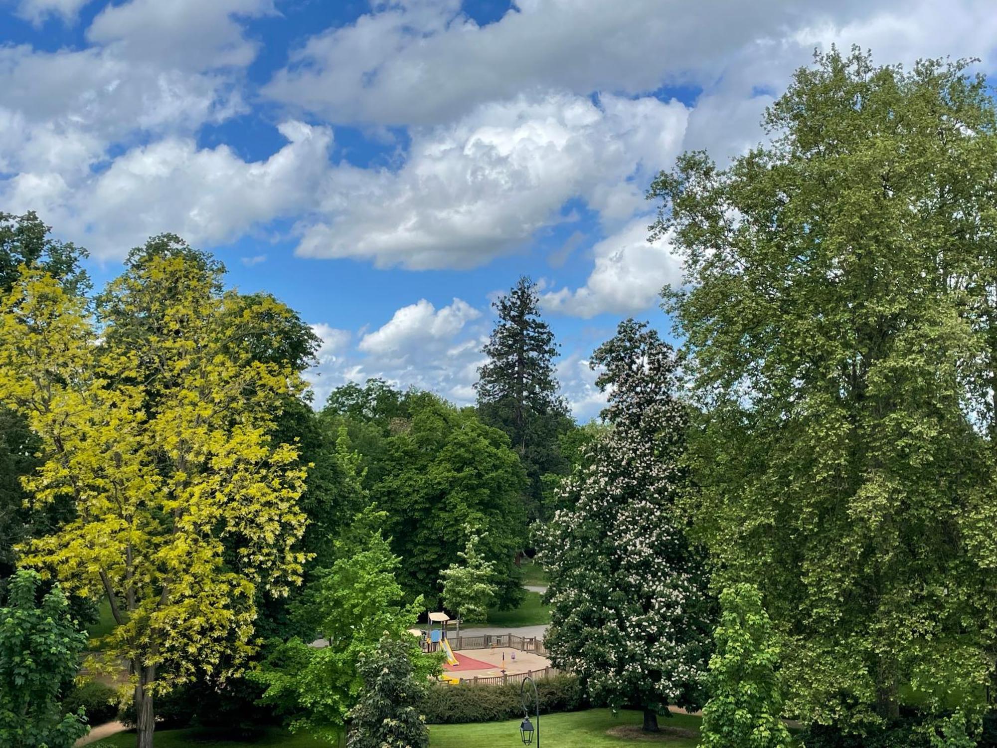 Le Joyau Des Parcs Classe 4 Etoiles Au Calme Avec Terrasse Apartamento *
